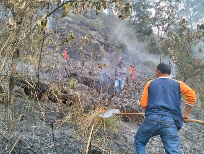 Petugas gabungan berjibaku memadamkan api yang membakar hutan di Desa Haranggaol, Kabupaten Simalungun (f:ist/mistar)