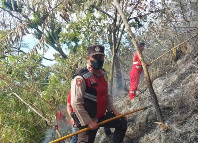 Kebakaran hutan di Simalungun (f:ist/mistar)