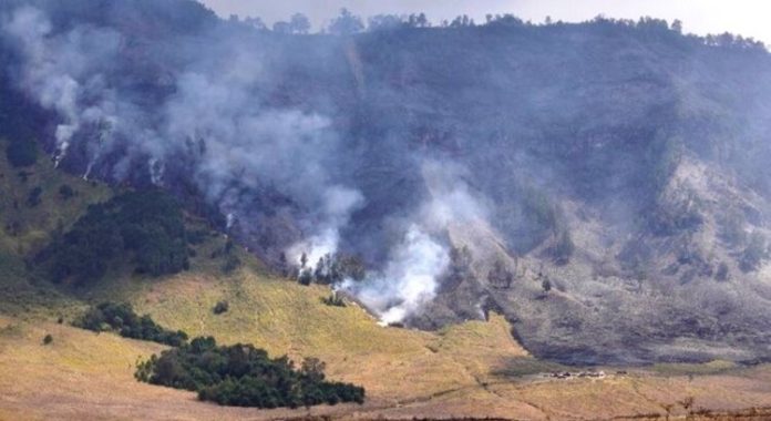 Bukit Teletubbies Bromo