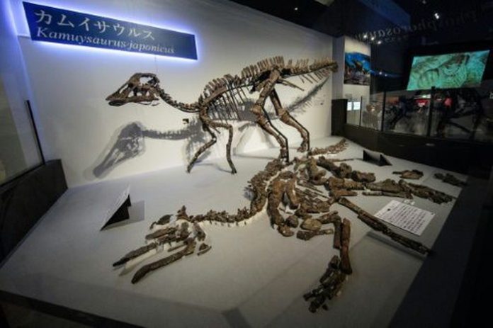 Dinosaurus di Jepang.