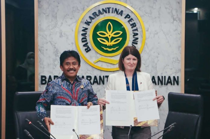 RI-Pemerintah Australia Sepakati Identifikasi 9 Langkah Reharmonisasi Persyaratan Impor Ternak Sapi