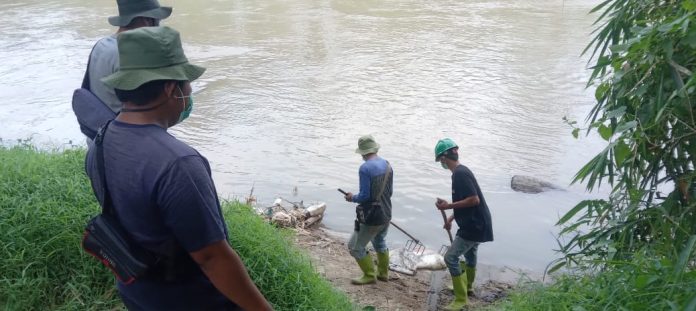 Tanggapi Keluhan Warga, DLH Tebing Tinggi Evakuasi Tumpukan Goni di Sungai Padang