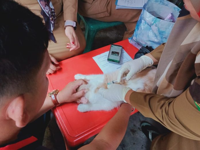 Vaksinasi Rabies Digencarkan, Warga Kecamatan Medan Maimun Minim Respon