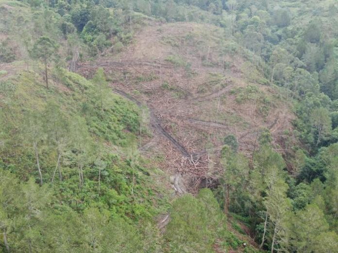 embalakan hutan di bagian hulu sungai, di Desa Simangulampe, Baktiraj, Humbahas. Gambar ini hasil penginderaan dari udara. (f:ist/mistar).
