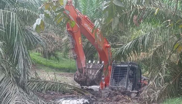 excavator