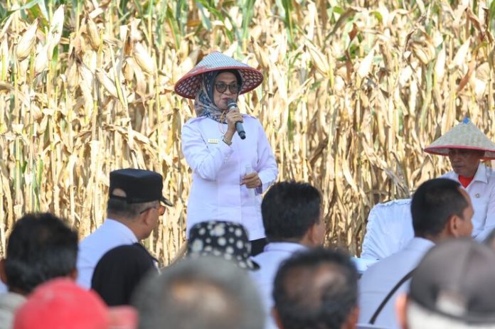 Wali Kota Pematangsiantar, Susanti Dewayani dalam sambutannya. (f:ist/mistar)