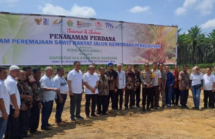 Kegiatan penanaman perdana program Penanaman Sawit Rakyat (PSR) di Desa Aek Raso, Torgamba, Labuhanbatu Selatan. (f:ist/mistar).