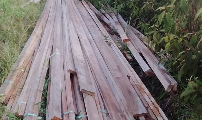 KLHK dan APH Diminta Tindak Praktik Ilegal Loging di Dolok Tolong Sumbul Dairi