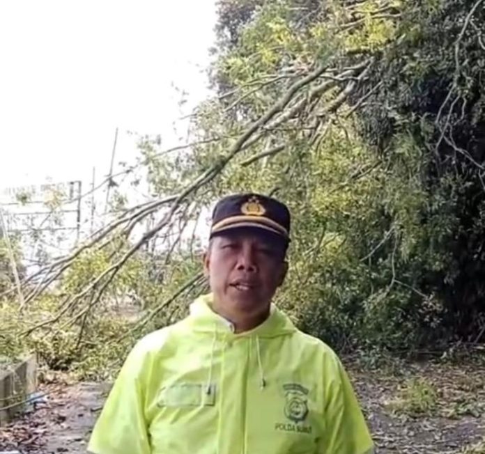 Kapolsek Parapat AKP Jonni Silalahi dilokasi pohon tumbang di Jalur Siantar-Parapat