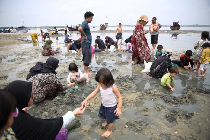 Sambil berlibur saat lebaran 1445 Hijriah warga mencari Kepah di Pantai Belacan, Tanjung Tiram, Batubara, Sumut