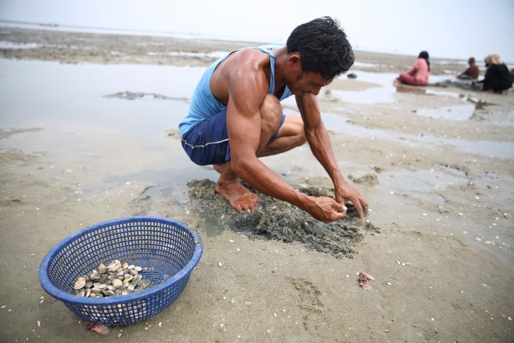 Seorang pria mencari Kepah di Pantai Belacan, Tanjung Tiram, Batubara, Sumut