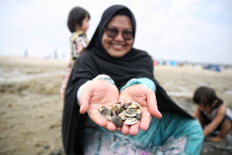 Warga tunjukan Kepah di Pantai Belacan, Tanjung Tiram, Batubara, Sumut saat libur lebaran 1445 Hijriah