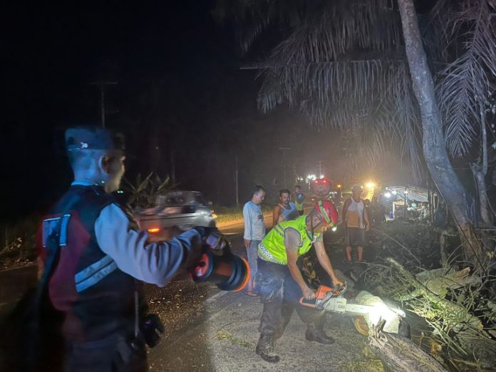 Satgas Preventif Operasi Ketupat Toba 2024 Polres Labuhanbatu Selatan memotong pohon tumbang yang melintang di jalan (f:ist/mistar)