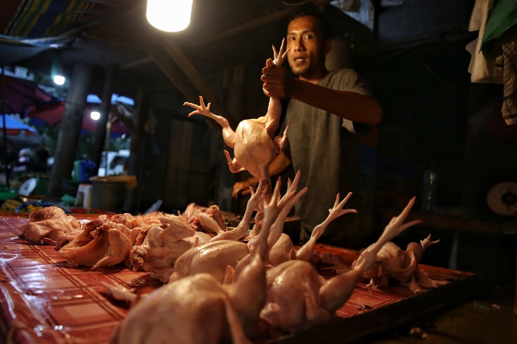 Pedagang ayam potong di Pasar Sei Sikambing Medan
