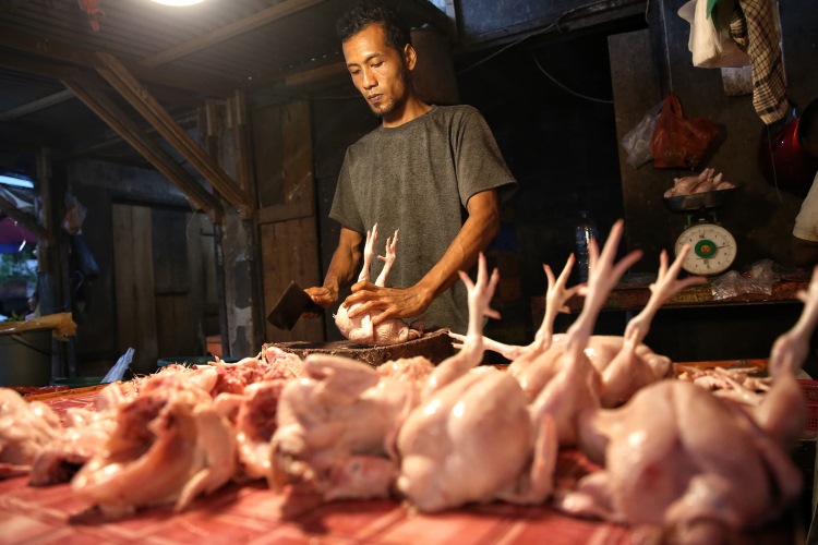 Penjual ayam potong sedang memotong daging ayam di Medan