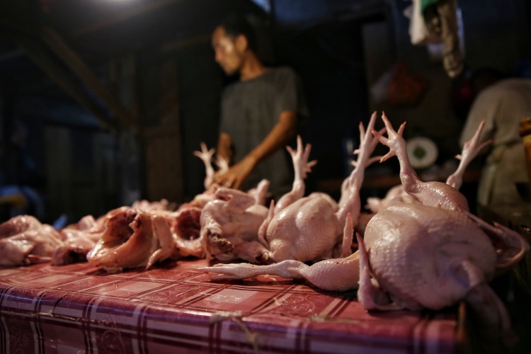Penjual ayam potong wajib bersertifikat halal