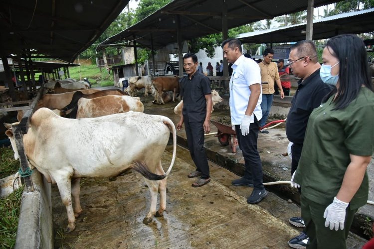 Dinas Ketahanan Pangan Kota Medan mengecek kondisi hewan kurban di kandang milik peternak di kawasan Avros, Kota Medan