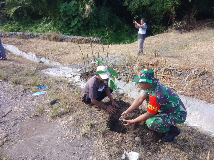 Babinsa Koramil Kutalimbaru melakukan penanaman 1500 pohon nangka bersama warga.(f:ist/mistar)