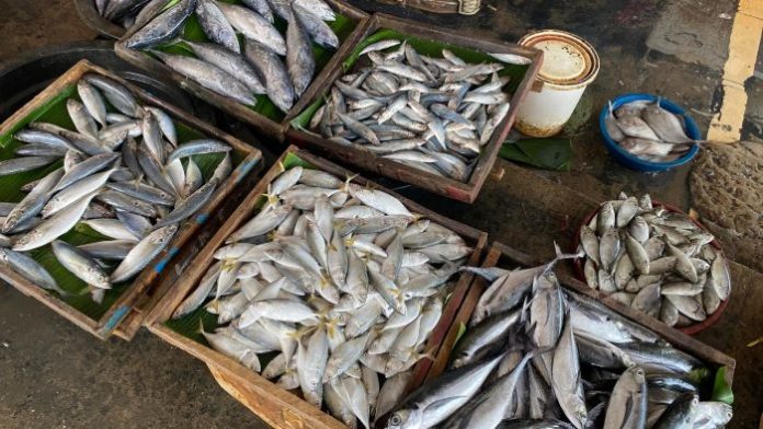 Ikan di Pasar Tradisional Simpang Limun Medan