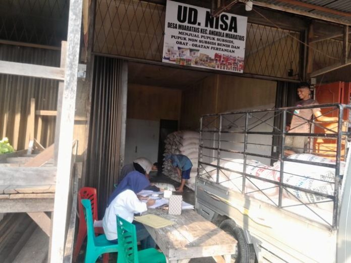 UD Nisa selaku pengusaha pupuk eceran bersubsidi menangani beberapa kelompok Tani di Kecamatan Angkola Muara Tais (f:ist/mistar)