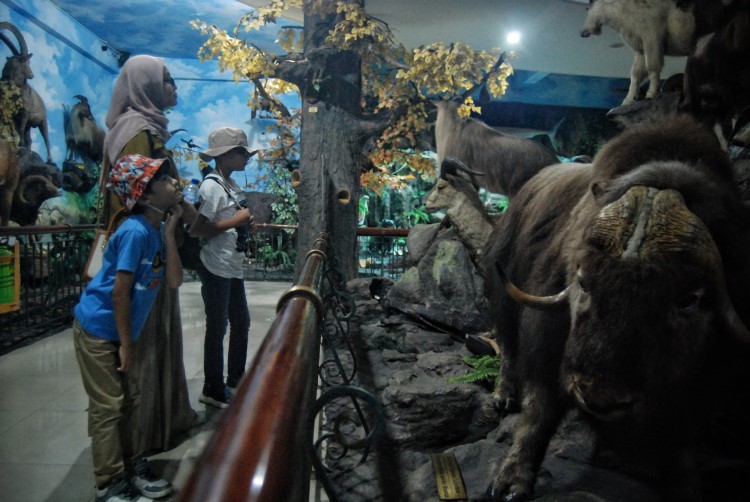 Anak sekolah yang sedang liburan mengamati hewan yang diawetkan di Museum Rahmat Kota Medan