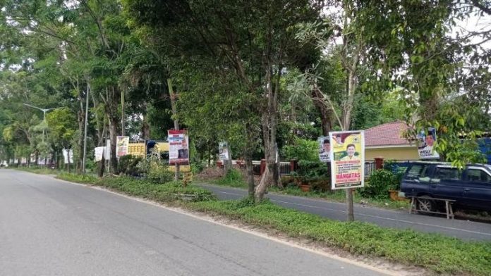 Deretan poster bakal calon Wali Kota Pematangsiantar ditempel di pepohonan
