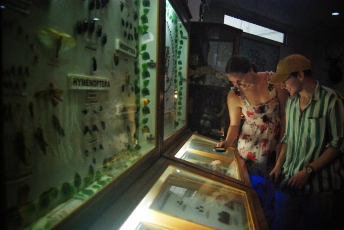 Sepasang wisatawan mancanegara mengamati koleksi serangga yang diawetkan mengunakan kaca pembesar di Rahmat International Wildlife Museum dan Galeri di Kota Medan