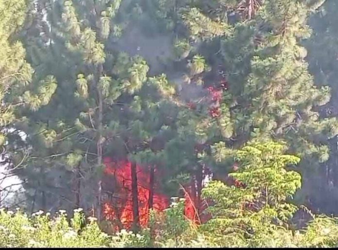 Api membakar puluhan hektar lahan di Sirukkungon.(f/nimrot/mistar)