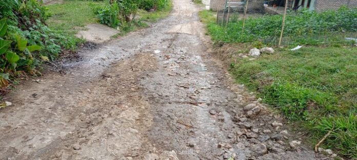Kondisi jalan kabupaten rusak parah puluhan tahun mengganggu akses menuju ratusan hektar lahan pertanian warga Desa Lau Pakpak. Sidikalang (f:manru/hm17)