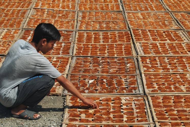 Proses penjemuran kerupuk di industri rumahan UMKM di Desa Bandar Khalipah, Percut Sei Tuan, Deli Serdang, Sumatera Utara