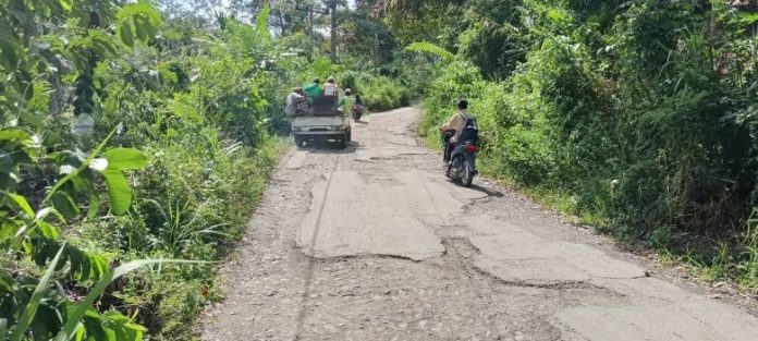 LokasiJalan di Desa Rimba Soping yang rusak serta ditumbuhi semak