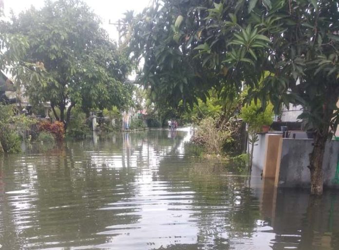 Genangan air terlihat di Pemukiman warga Medan Labuhan, Minggu (15/9/24).  