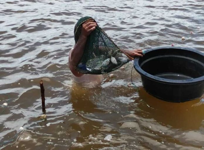 penjaring ikan pinggiran