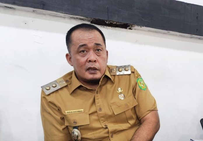 Wakil Wali Kota Medan Aulia Rachman.