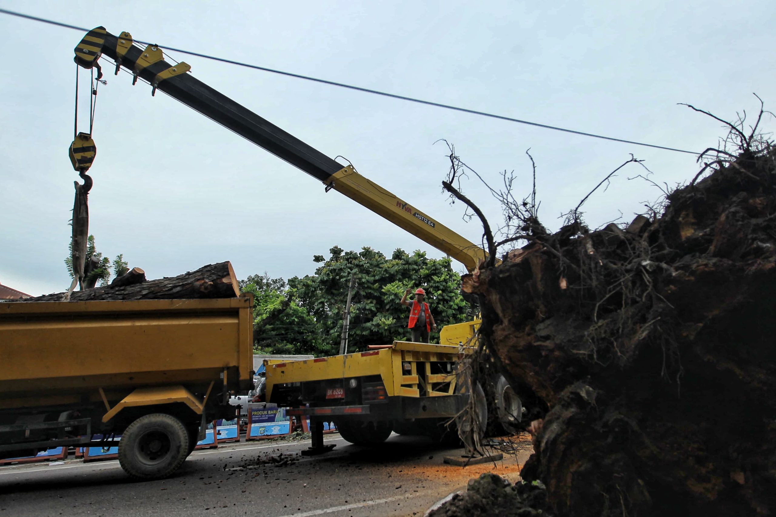 Alat berat mengevakuasi pohon yang tumbang melintang di Jalan Putri Hijau, Kota Medan