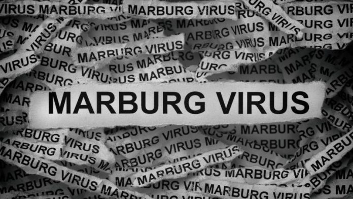 Marburg Virus