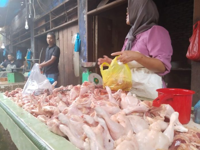 Pedagang daging ayam di Pasar Dwikora Pematangsiantar