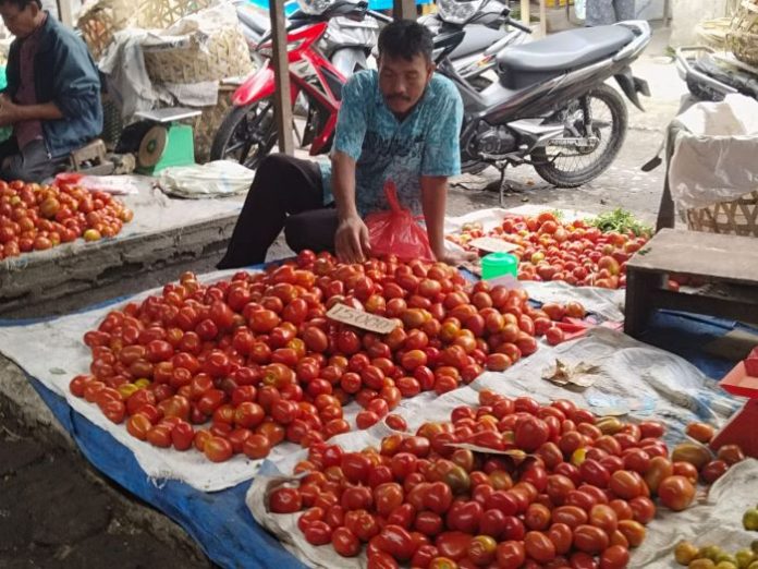 Pedagang tomat di Pasar Dwikora