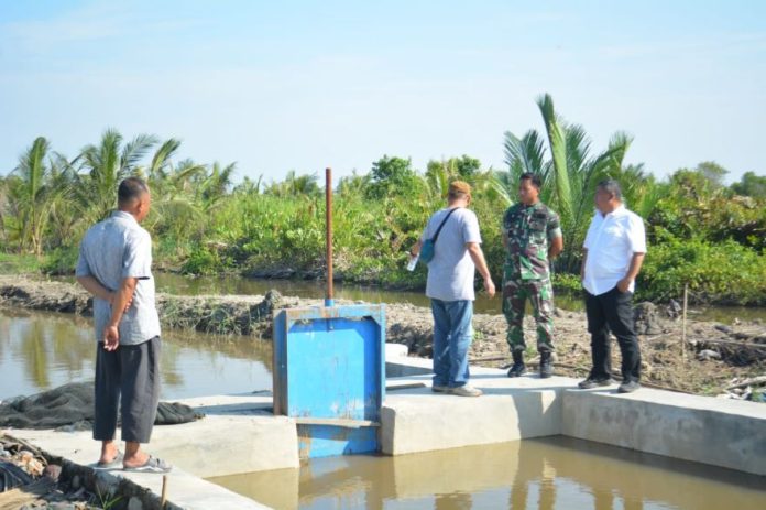 Staf Kementan RI dan Irjenad mengunjungi program Oplah di Pantai Labu disambut Dandim