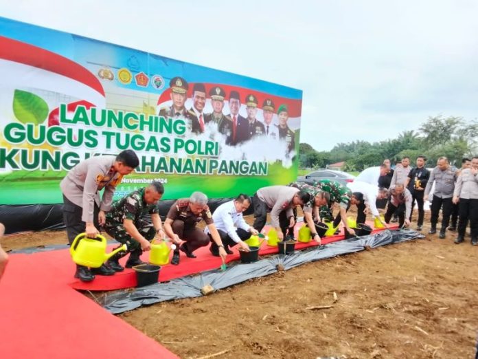 Kapolda Sumut Irjen Whisnu Hermawan Febrianto saat melaucingg lahan pertanian dan pembudidaya ikan lele Polda Sumut