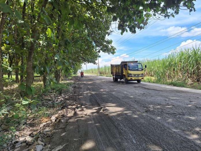 Kondisi kerusakan Jalan Bulu Cina Kecamatan Hamparan Perak (f:amita/mistar)