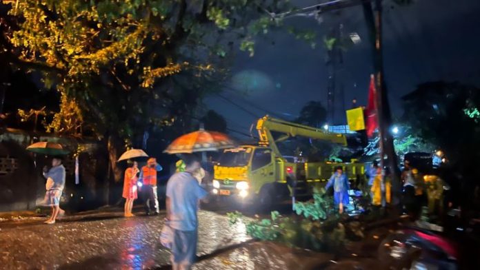 Kondisi Jalan Brigjend Zein Hamid Kamis malam, pada saat satu batang pohon besar tumbang.