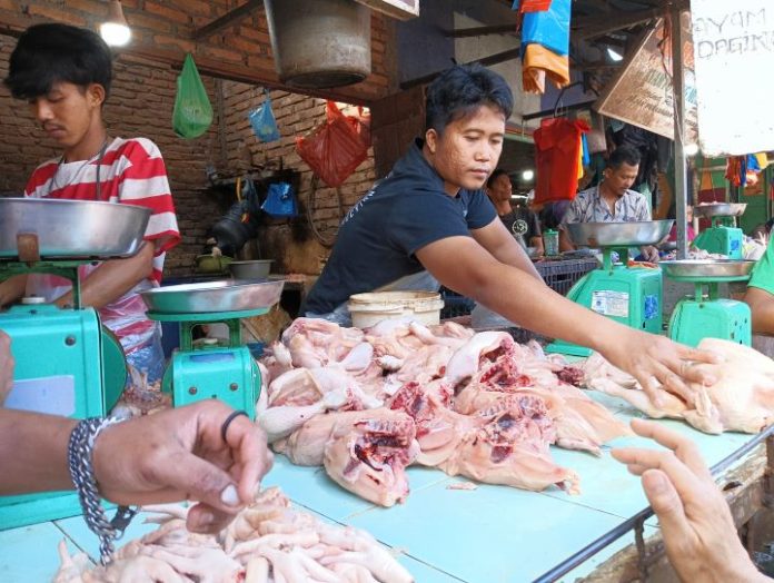 Pedagang Ayam di Pasar Dwikora Pematangsiantar