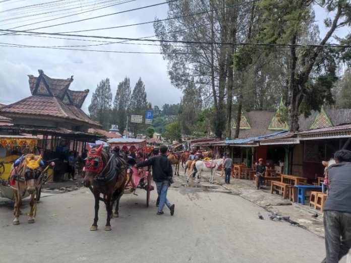 Para joki kuda masih setia menanti wisatawan, yang hadir di kota wisata.