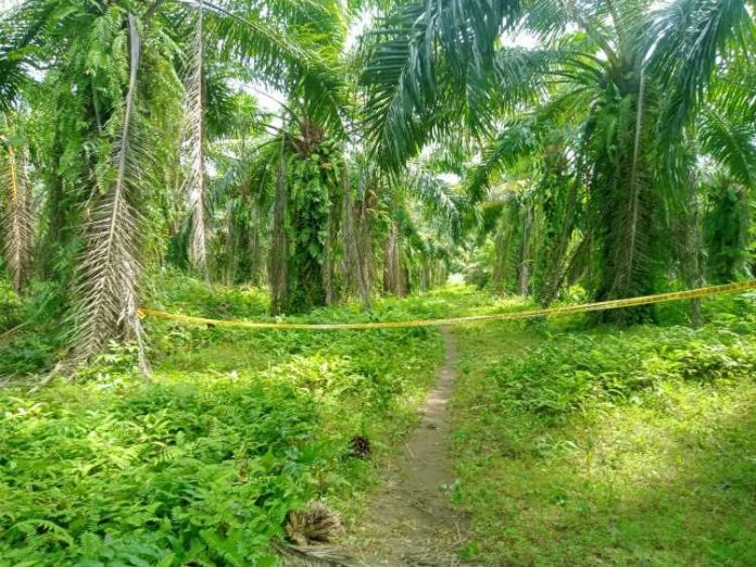 Lokasi penemuan mayat perempuan di Desa Sampali yang sudah di pasang garis polisi, Kamis (12/12/24).