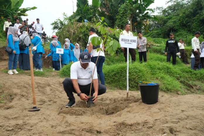 Region Head PTPN1 Regional 1 Didik Prasetyo menanam salah satu pohon di pinggiran Sungai Belumai Tanjung Morawa.