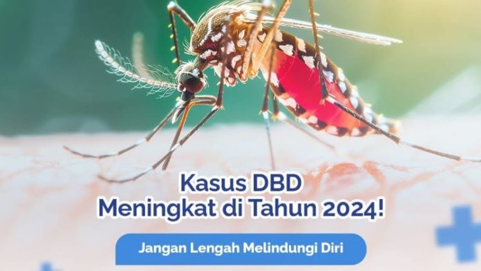 Ilustrasi kasus DBD Sumut meningkat.