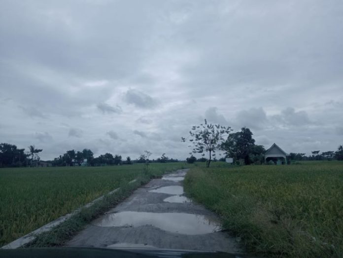 Kondisi jalan yang mengalami kerusakan cukup parah yang menghubungkan Desa Ara Payung menuju Desa Sementara Kecamatan Pantai Cermin Kabupaten Serdang Bedagai.