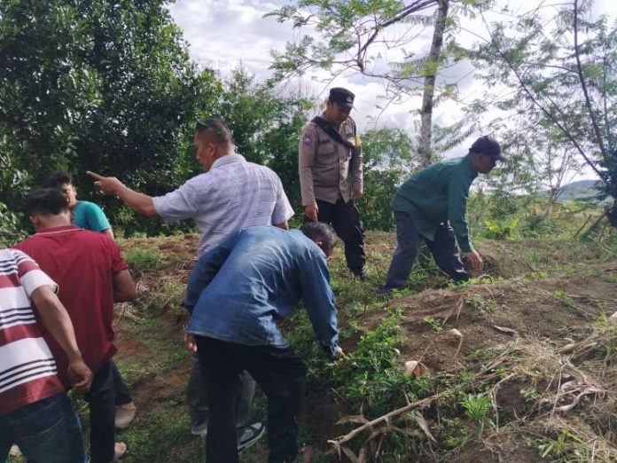 Tim dari BBKSDA,Saiful Amri sedang melakukan konfirmasi ke berbagai warga pemilik ladang yang dilintasi jejak kaki harimau.